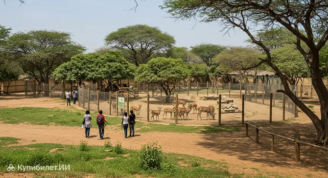 Национальный зоопарк Мали