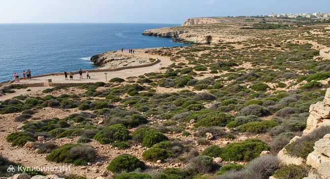 Природный парк Шробб-ль-Гажин