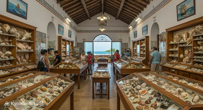 Музей морских ракушек