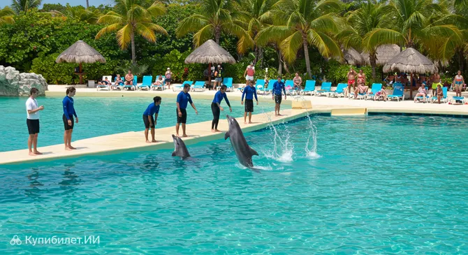 Дельфинарий на Косумеле