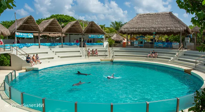 Дельфинарий Косумель