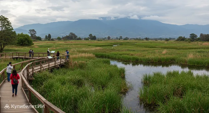 Парк Водно-болотных угодий