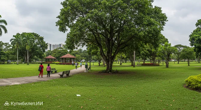 Парк Д. Р. Синивасагама