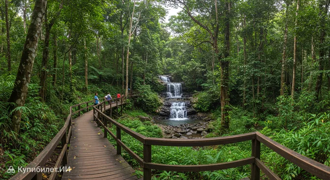 Общественный лес Кота Дамансара