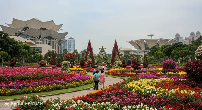 Анжунг Флория