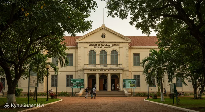 Музей естественной истории