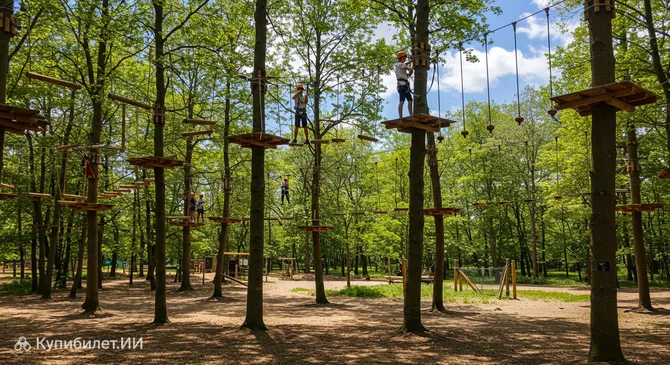 Верёвочный парк в Алмере