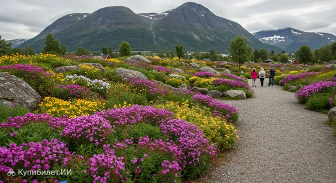 Арктико-альпийский ботанический сад