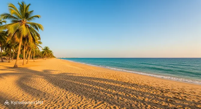 Пляж Аль-Хаффа