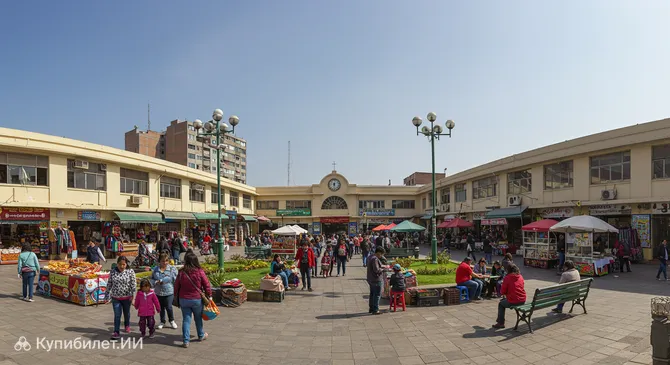 Маркет Сквер Беллависта