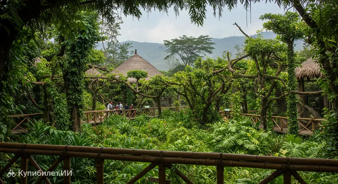 Зона Сельва