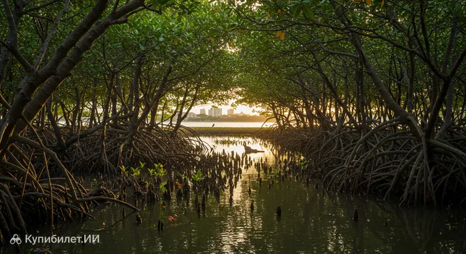 Эдуардо Эль Брухо