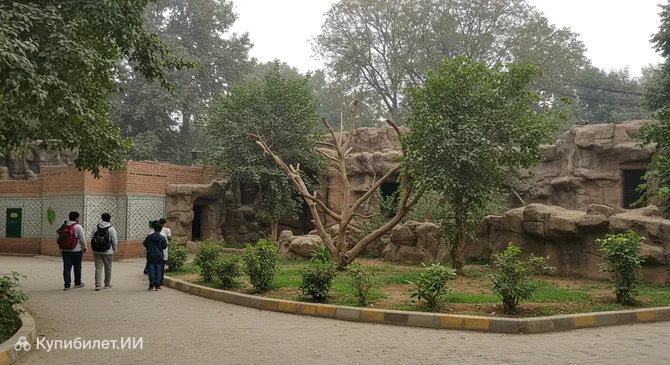 Зоопарк Канал Вью Парк