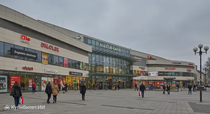 Галерея Судецка