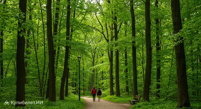 Катовицкий лесопарк