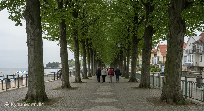 Грабовая аллея