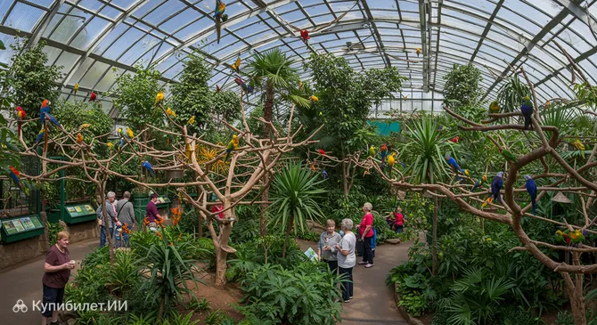 Дом попугаев