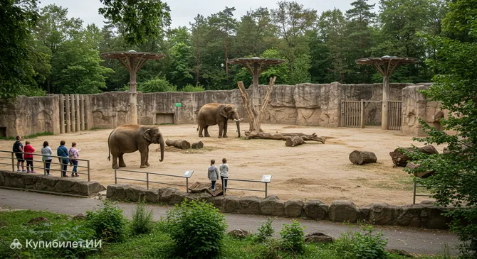 Вольер для слонов