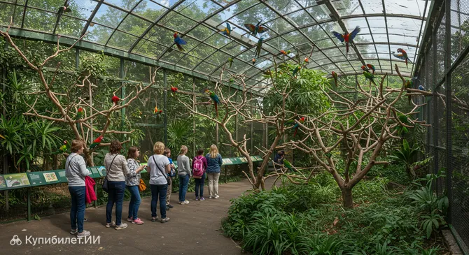 Дом попугаев