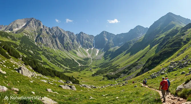 Долина Гасеницова