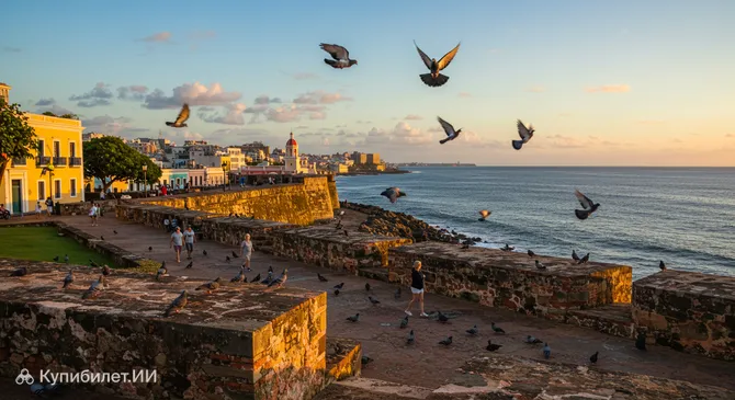 Парк голубей