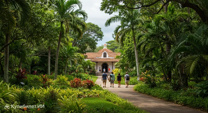 Ботанический сад Университета Пуэрто-Рико