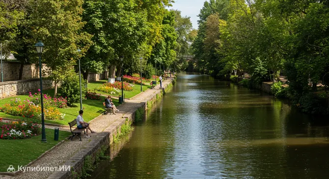 Илья ду Кавалейру