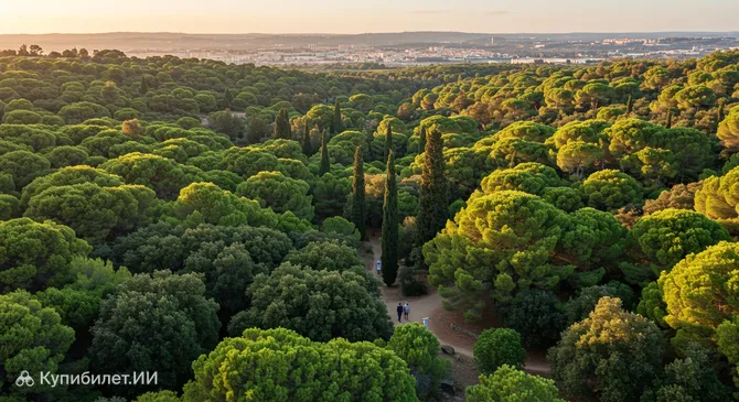 Лесопарк Монсанту