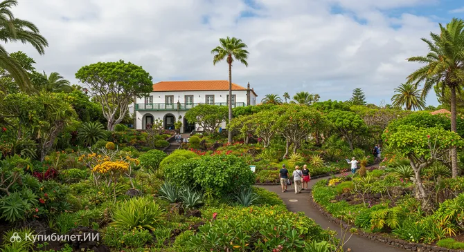 Кинта-даш-Палмейраш