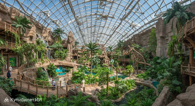 Джангл Зоун