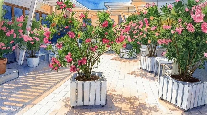 Ветерок Стерео Формат