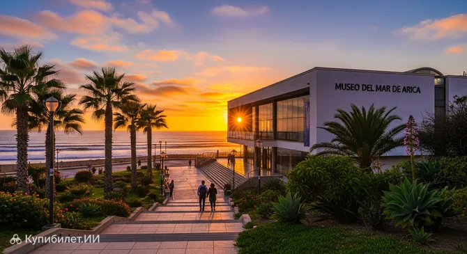 Музей моря Арики