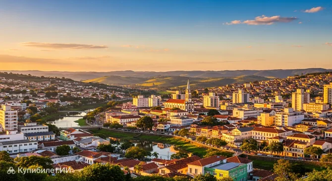 Куритибанус