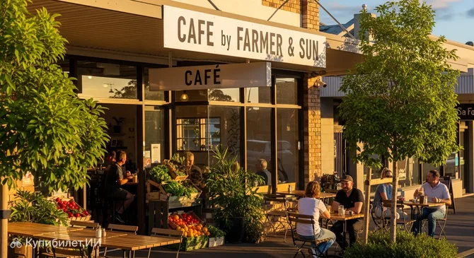 Кафе у Фармера и Солнца