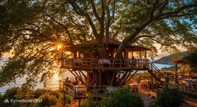 Дентроскито