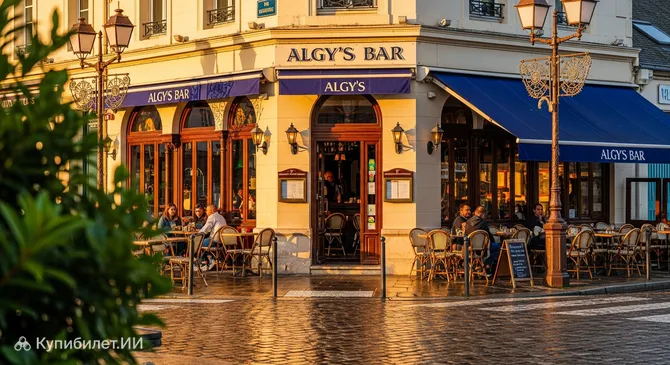 Бар Алги
