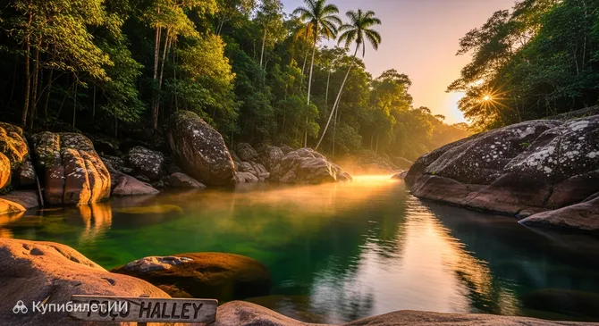 Поссу Халлей