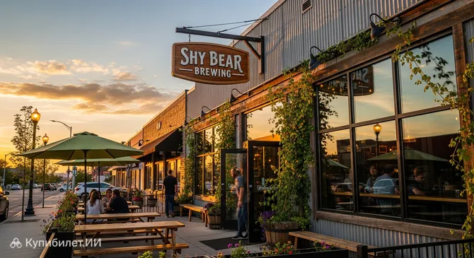 Shy Bear Brewing