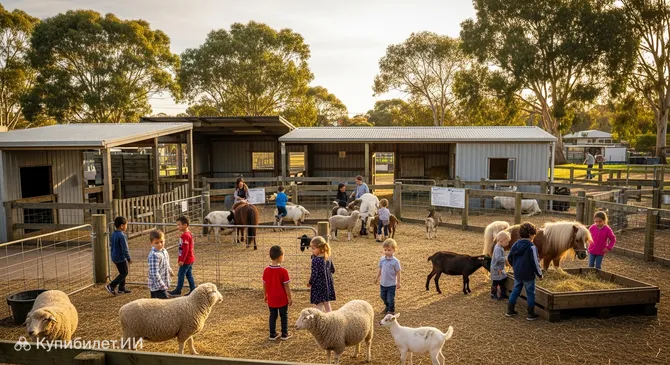 Детская ферма Коллингвуд