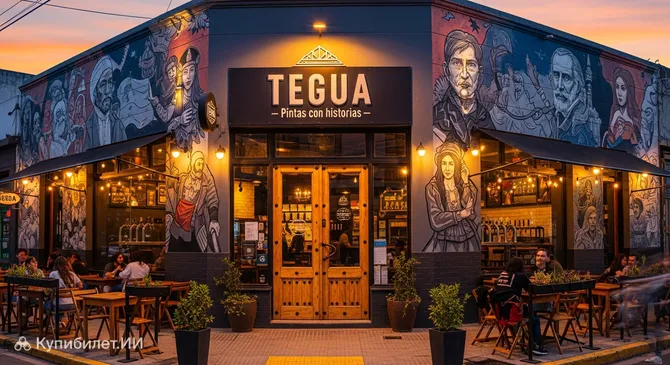 Tegua — пинты с историями