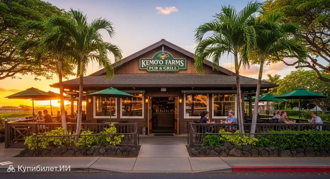 Паб и гриль Kemo