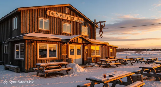 Паб Монки Три