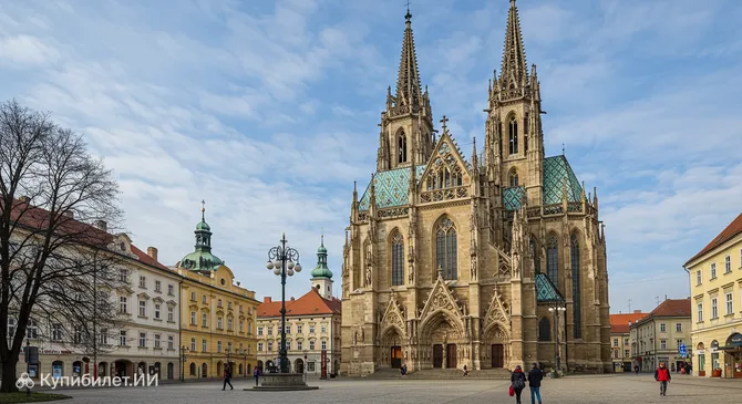 Собор Святой Елизаветы