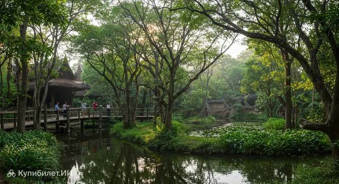 Королевство тигров