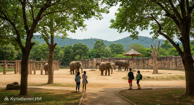 Чанг Тай Таппрая Сафари
