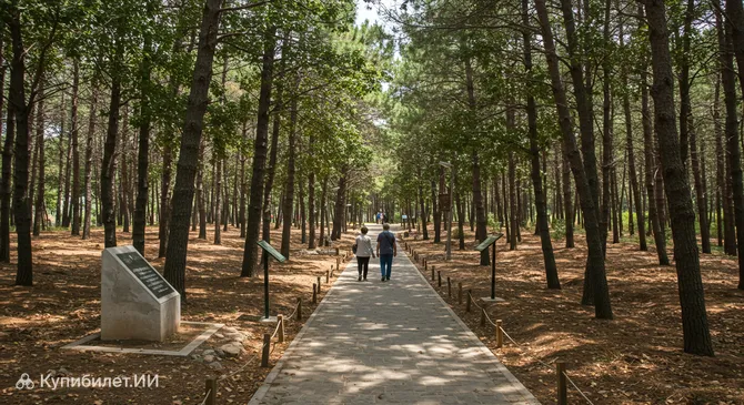 Памятный лес Юкселя Чаглара