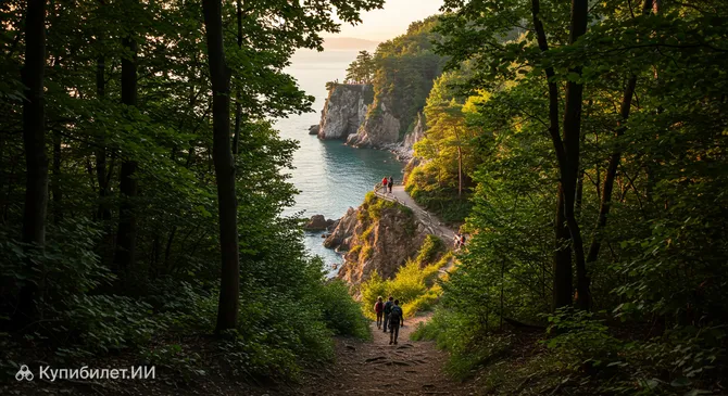 Национальный парк Мемориальный лес