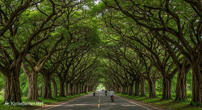 Зелёный туннель Гукэн