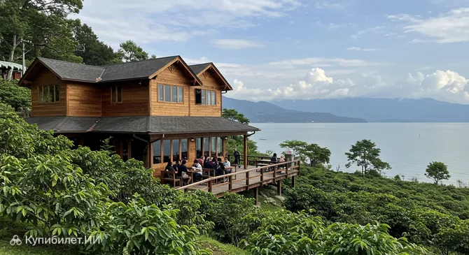 Кофейная плантация Лугао