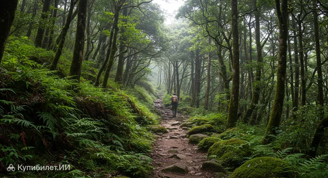 Национальный лесной рекреационный район Дасюэшань
